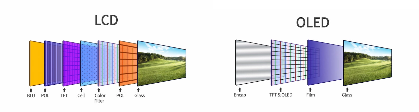 OLED VS LCD