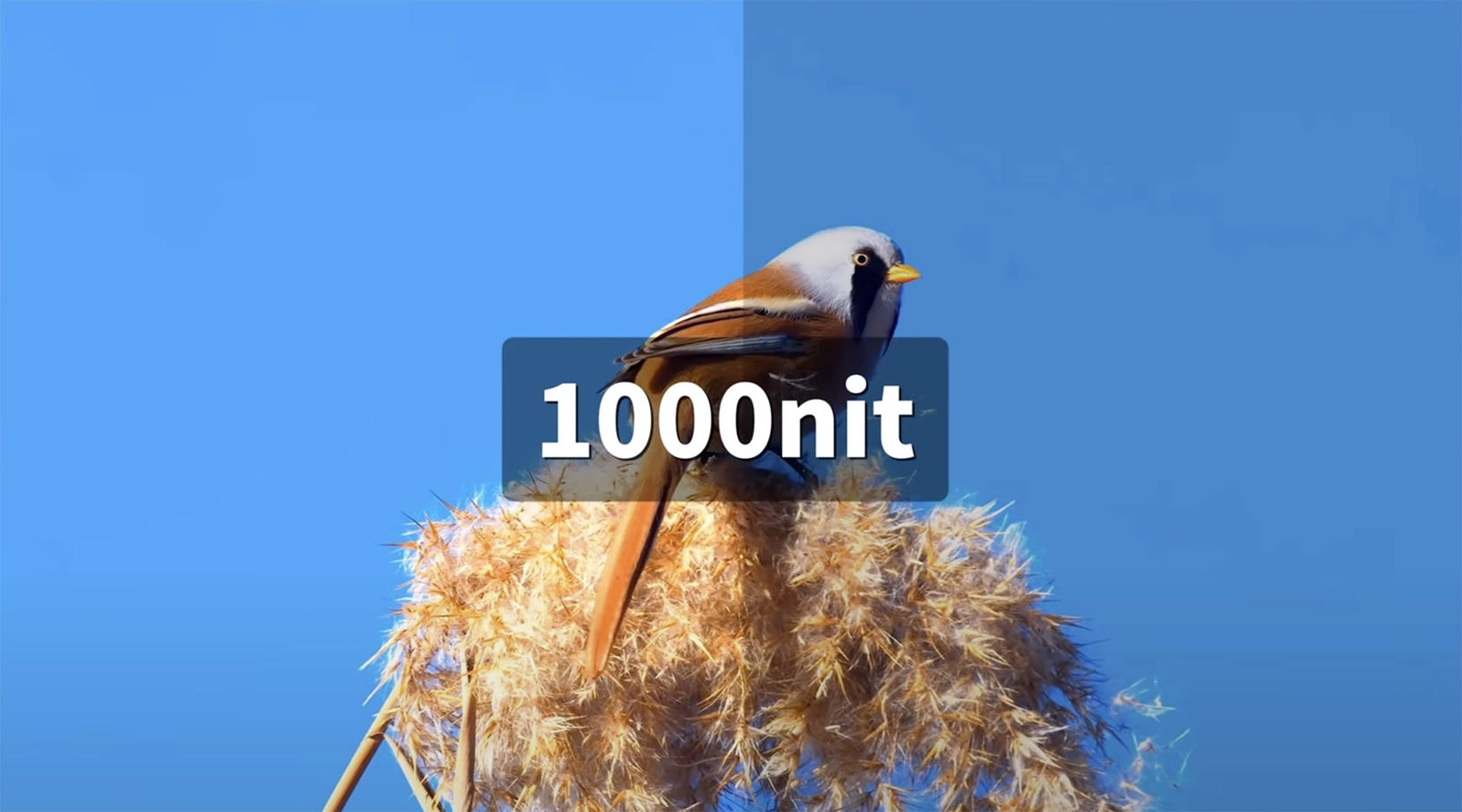 High brightness 1000nits p1.95 rental